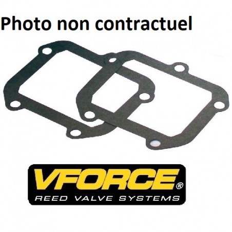 Joint de clapet V FORCE 2 pour TIGER SHARK 650, 900, 1000,...