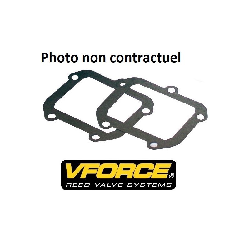 Joint de clapet V FORCE 2 pour POLARIS SL, SLTX,...